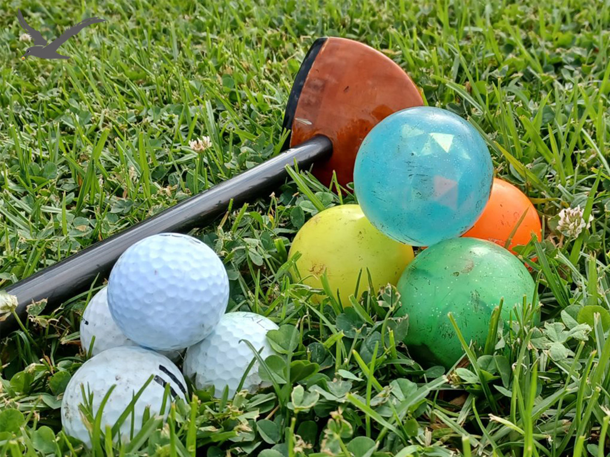 Diversitas Park Golf balls
