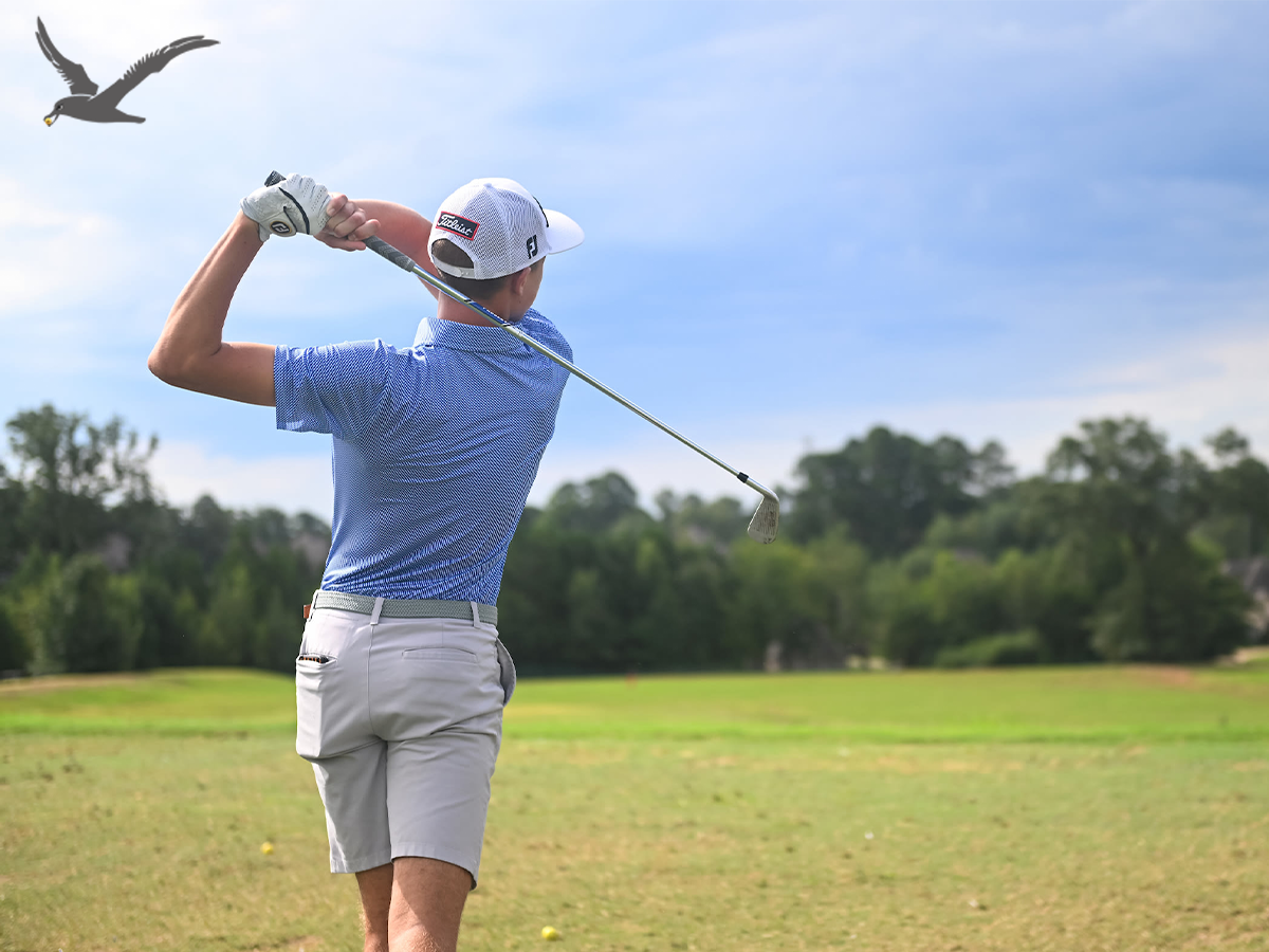 Quam ut amplio vestri Golf coegi procul?
