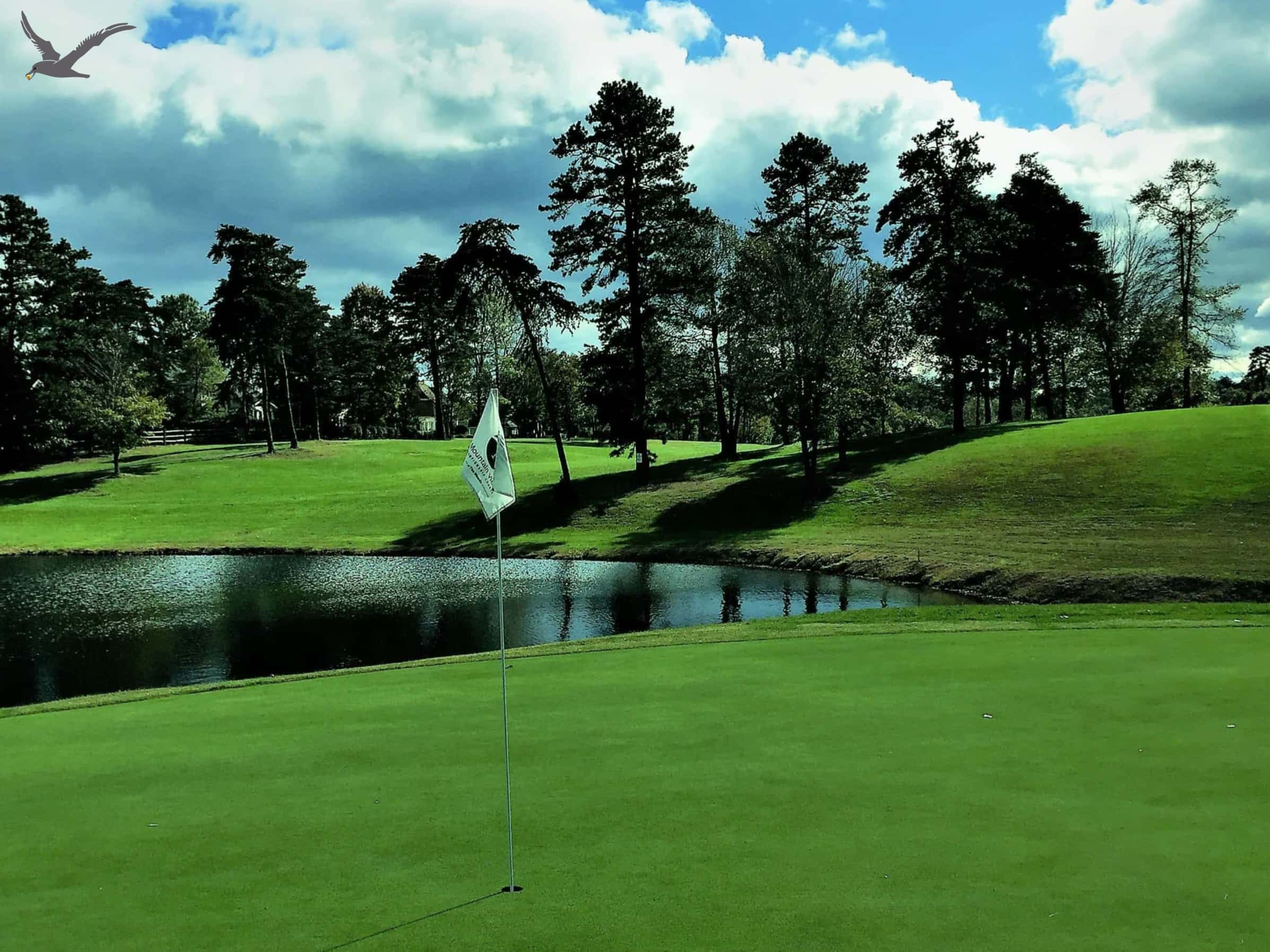 Albatross Ludis: X Fast Facta ad Kown Golf (Pars I)